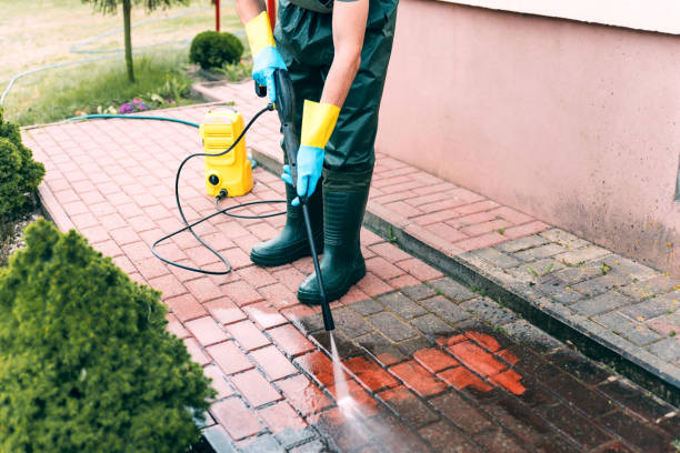 Best Solar Panel Cleaning  in Darlington, WI