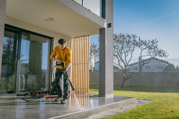 Best Solar Panel Cleaning  in Darlington, WI